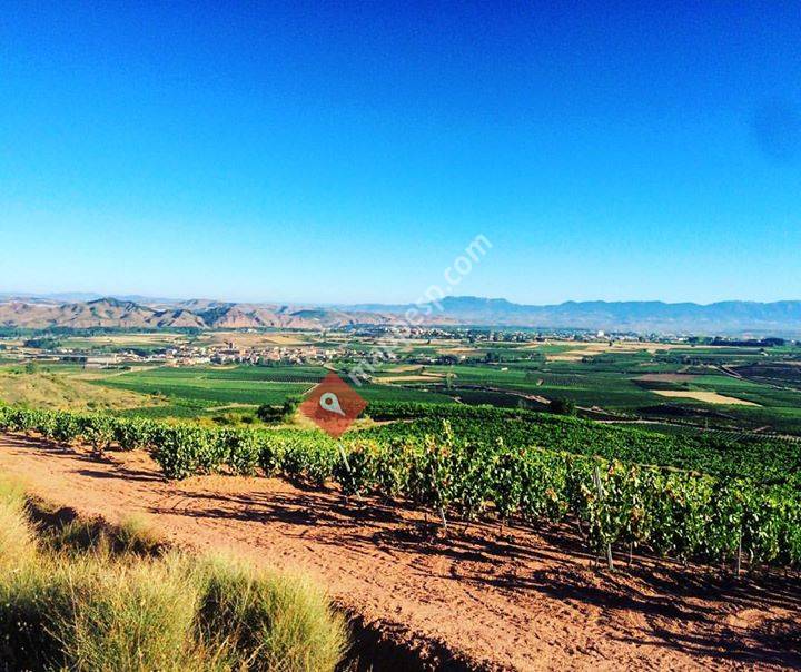 Asociación Cultural de Arenzana de Abajo