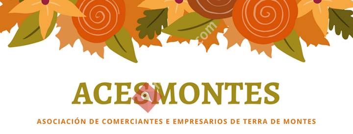 Asociación de Comerciantes e Empresarios de Terra de Montes
