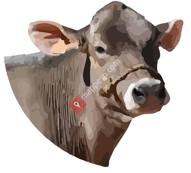 Asociación de Raza Parda