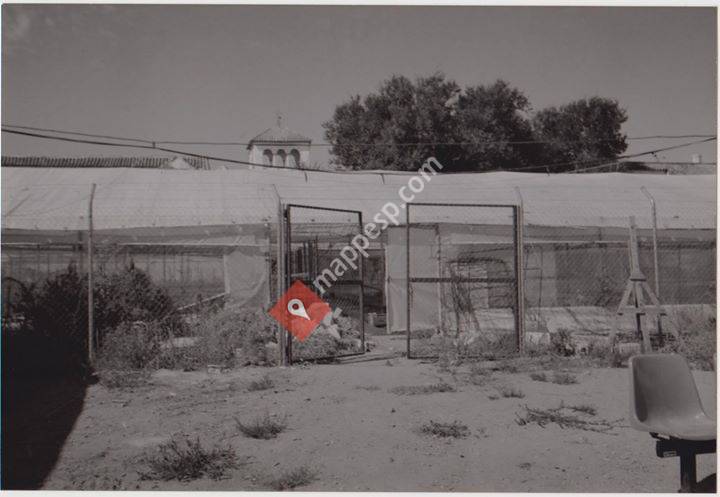 Asociación