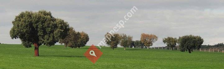 Asociación Quercus Suber Valdelosa