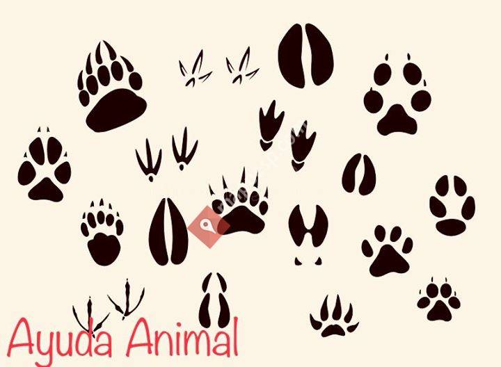 Ayuda Animal S.o.S