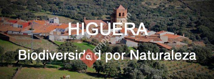 Ayuntamiento de Higuera de Albalat