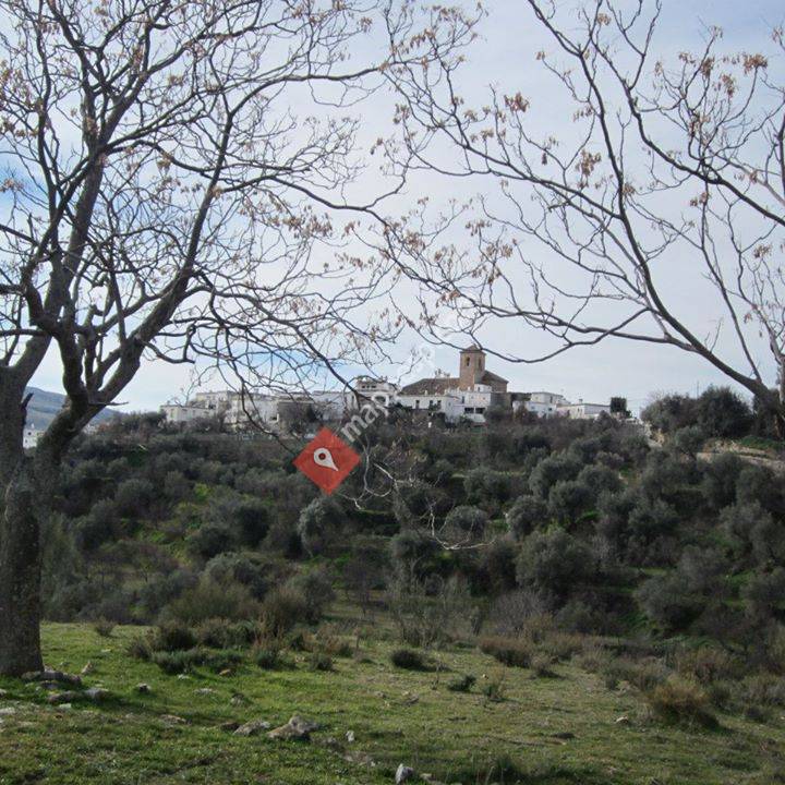 Ayuntamiento de Lobras (Granada)