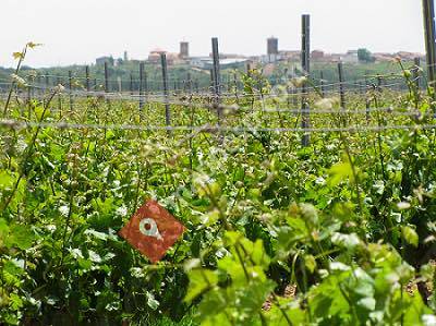 Ayuntamiento de Melgar de Abajo Centralita