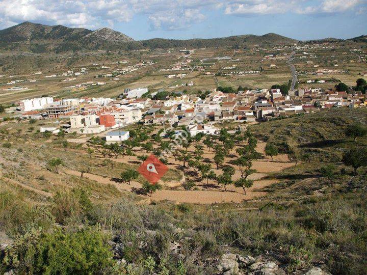 Ayuntamiento Hondón de los Frailes