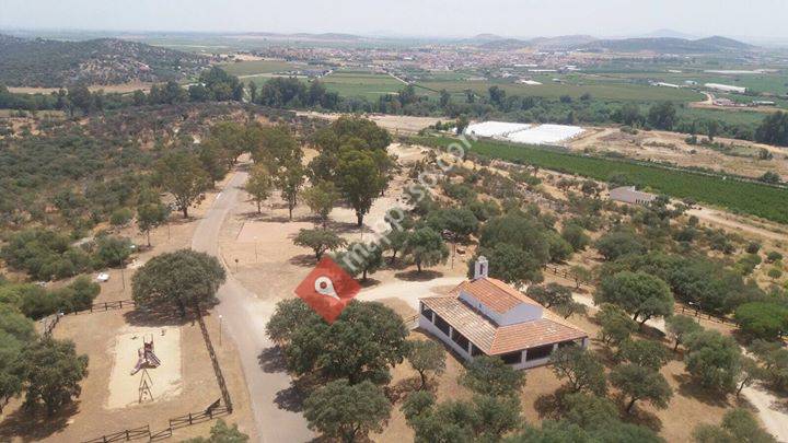 Ayuntamiento Santa Amalia