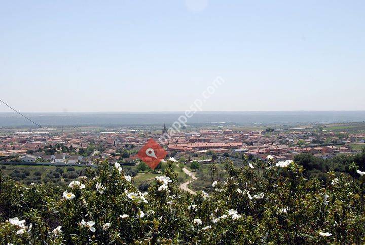 Ayuntamiento Villa del Prado