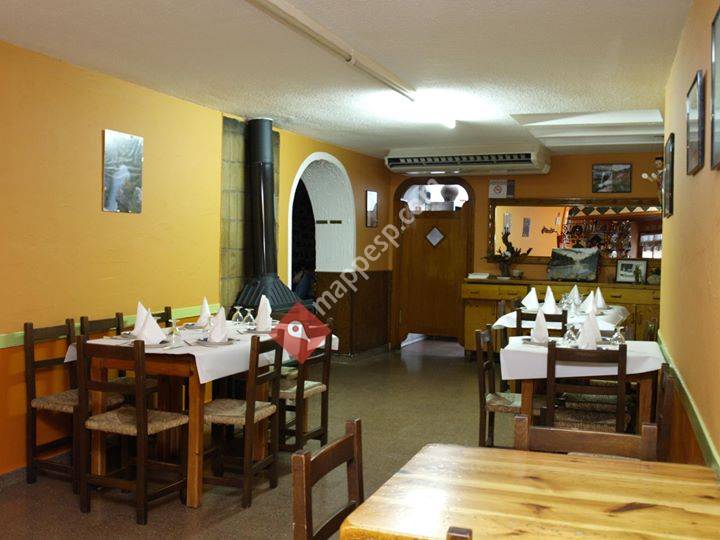 Bar Iris