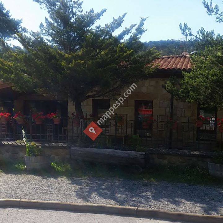 Bar - Restaurante Camping Arlanza