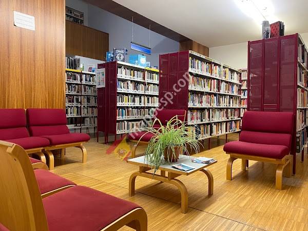 Biblioteca Municipal Pedro Antonio de Alarcón