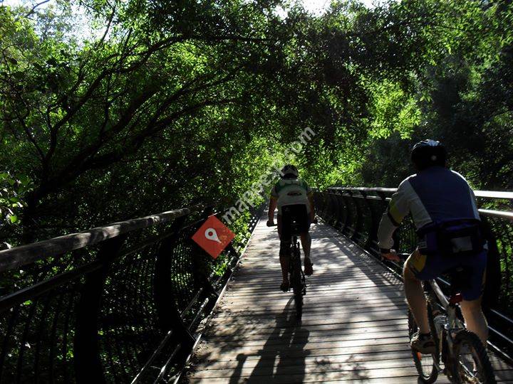 Bicicletas Verde Vía