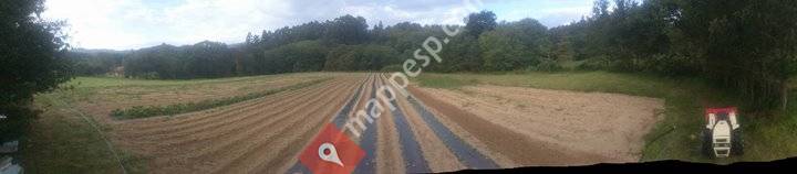 Biortzatxu produktu ekologikoak