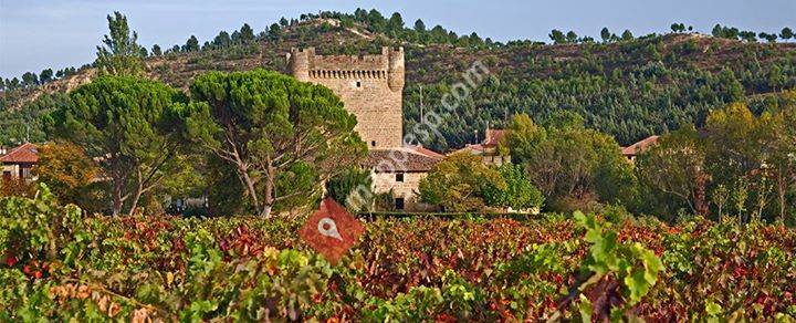 Bodega Castillo de Cuzcurrita