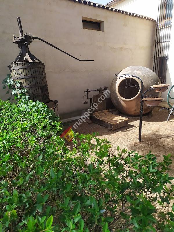 Bodega Manvi