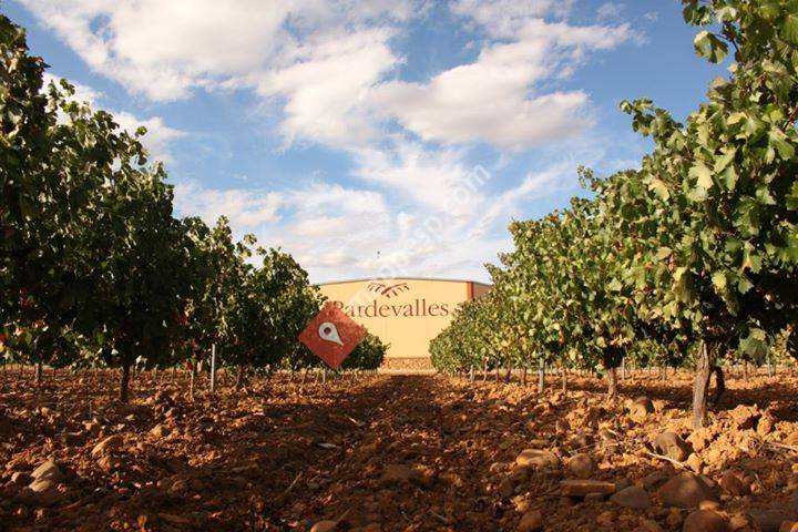 Bodega Pardevalles