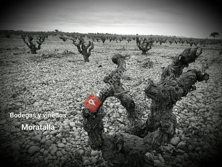 Bodega y Viñedos Moratalla