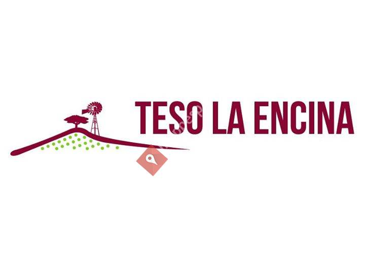 Bodega y Viñedos Teso La Encina