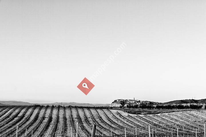 Bodegas Alconde