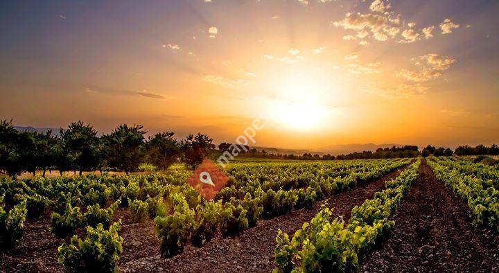 Bodegas Aradon