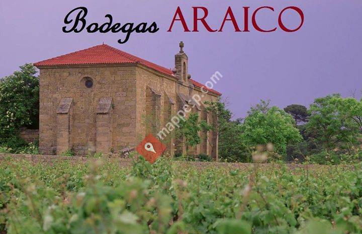 Bodegas Araico