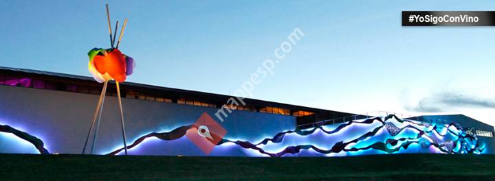 Bodegas Avelino Vegas