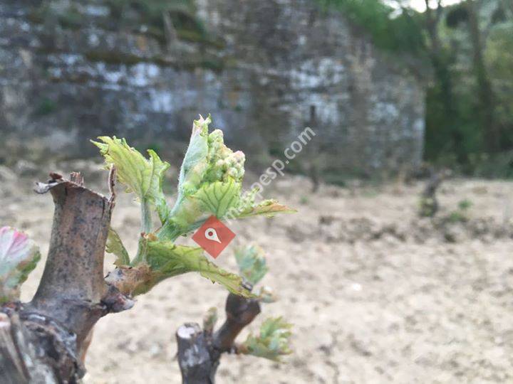 Bodegas Blanco Pérez de Azpillaga