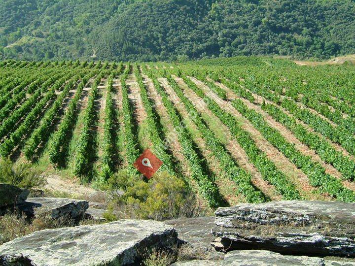 Bodegas Carballal