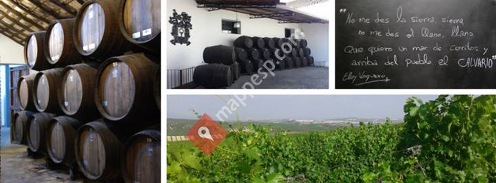 Bodegas Del Pino