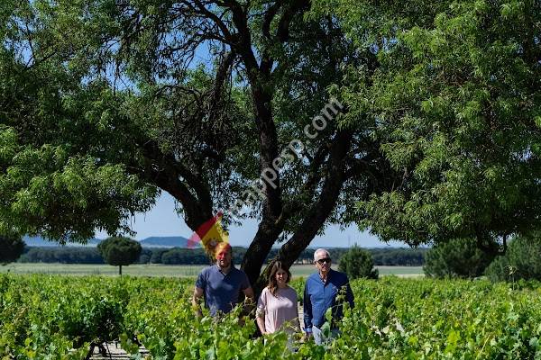 Bodegas Félix Lorenzo Cachazo