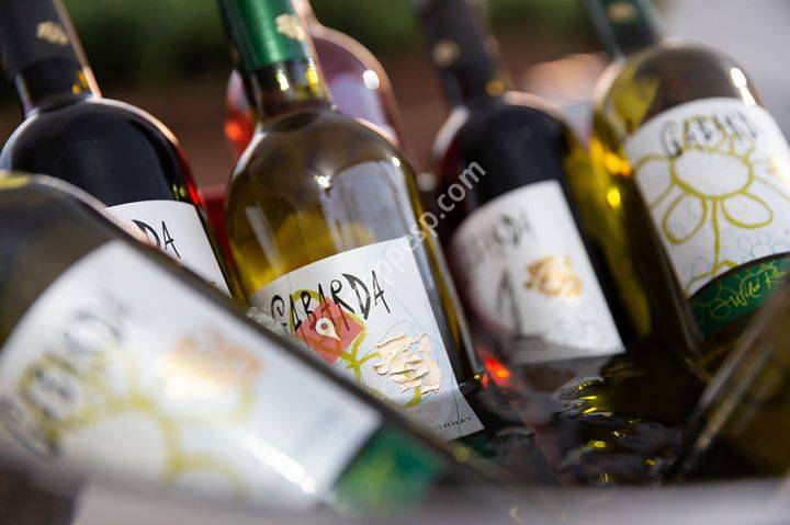 Bodegas Gabarda