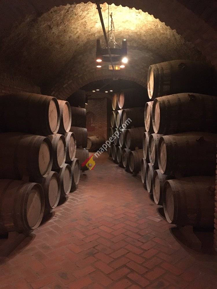 Bodegas Grupo Yllera