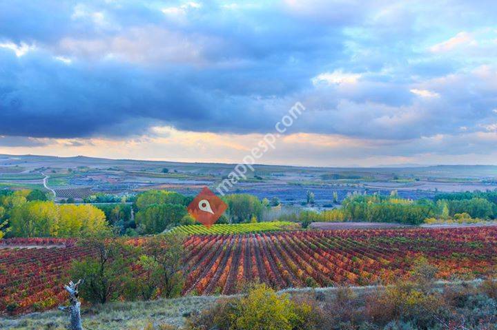 Bodegas Martínez Alesanco