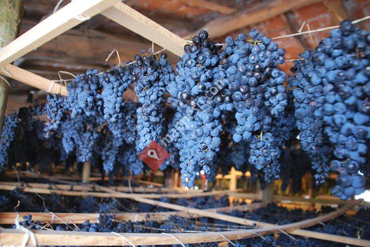 Bodegas Ojuel - El Supurao de Rioja -