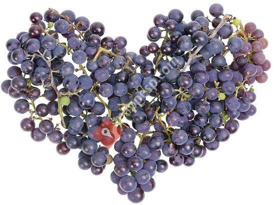 Bodegas Partisano Geintza Bastegieta Cenigaonaindia