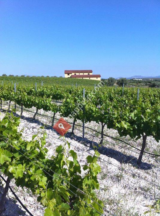 BODEGAS PERFER