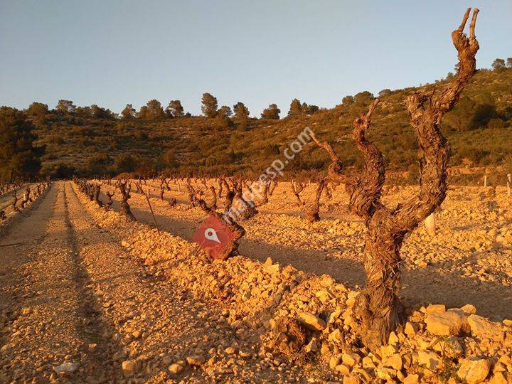 Bodegas Pigar