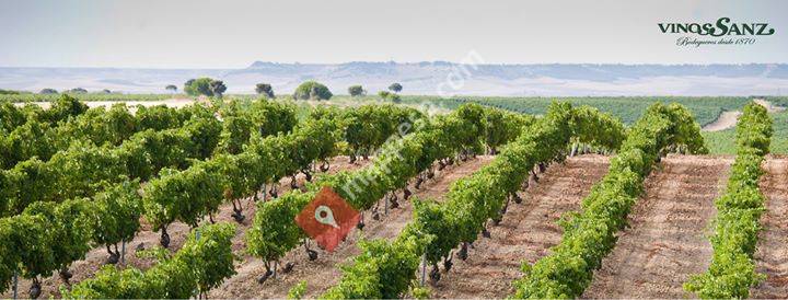 Bodegas Vinos Sanz