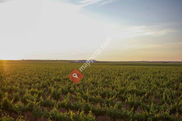 Bodegas VQ