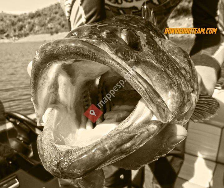 Bonviedro Fishing