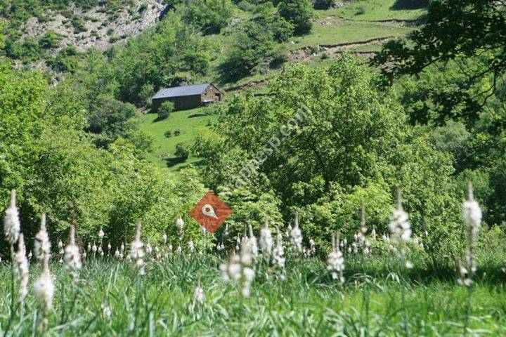 Borda Pina, Refugi Sostenible