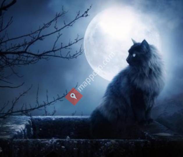 Bruji Bruji