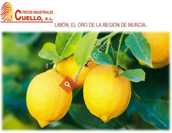Cítricos Industriales Cuello S.L