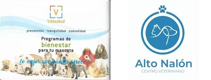 C V Alto Nalon