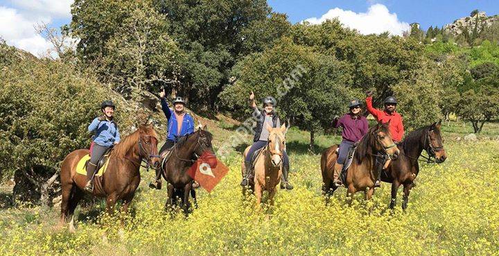 Cabalcampo - Ven a montar a caballo con nosotros en Madrid