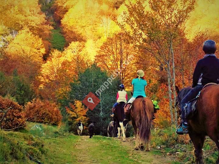 Cabalgandosueños