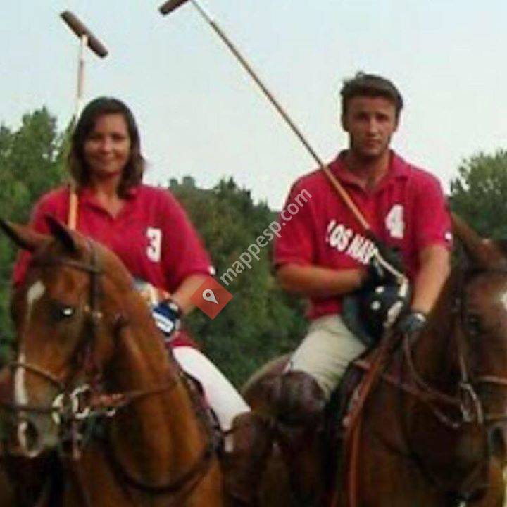 Caballos ALDEA TUDAL