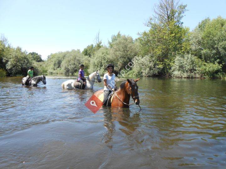 Caballos de la Ribera