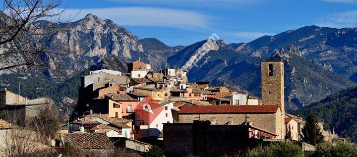 Cal Tresonito