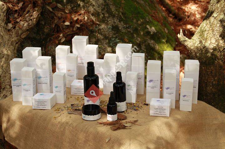 Calamansa Wholistic Grace. Premium Cosmetics